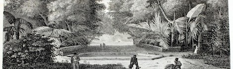 Présentation de l'Association